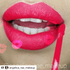 The Full Collection - Waterproof Liquid Lipsticks